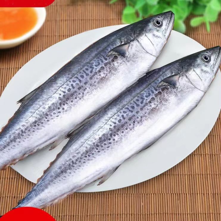 海产干货
