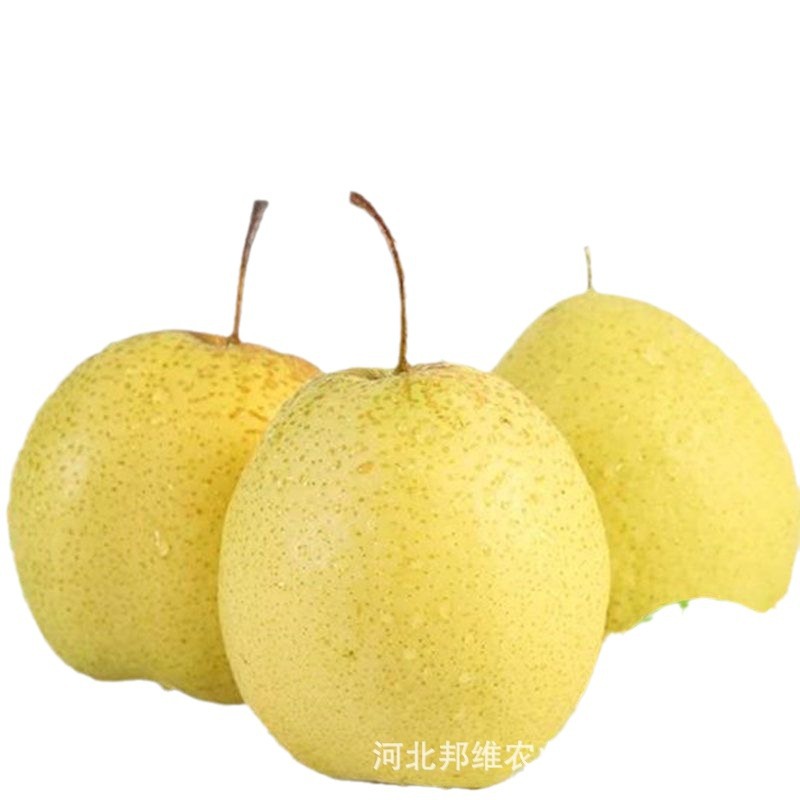 l02