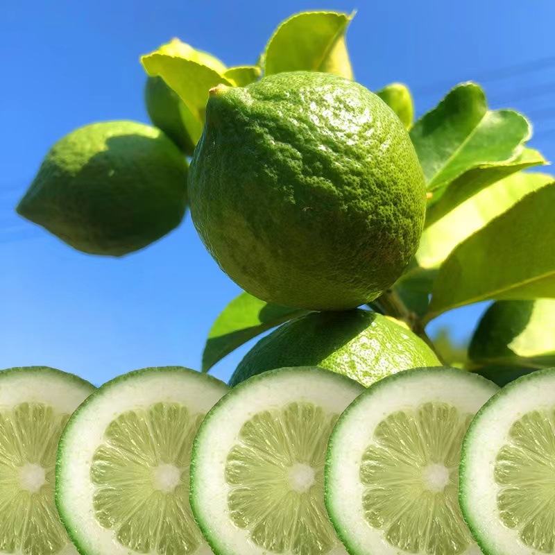nm00