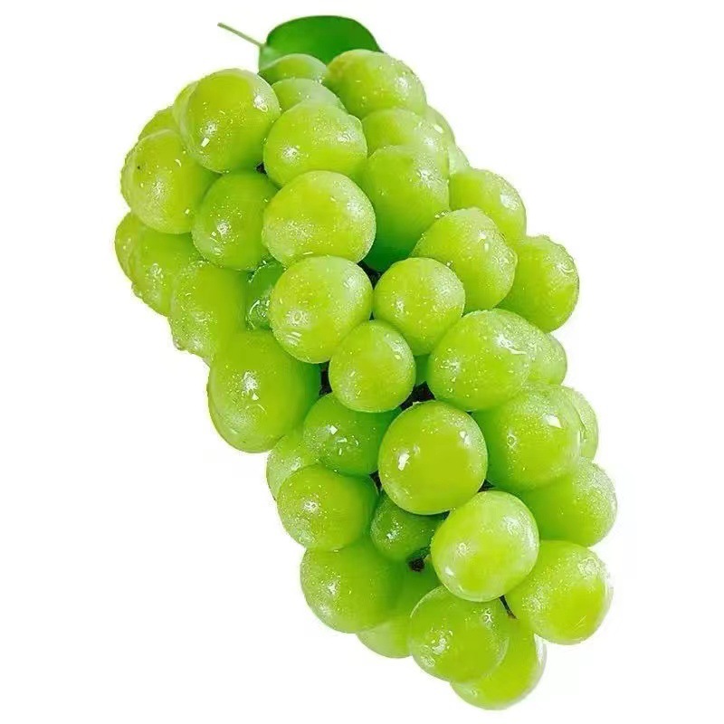 pt00