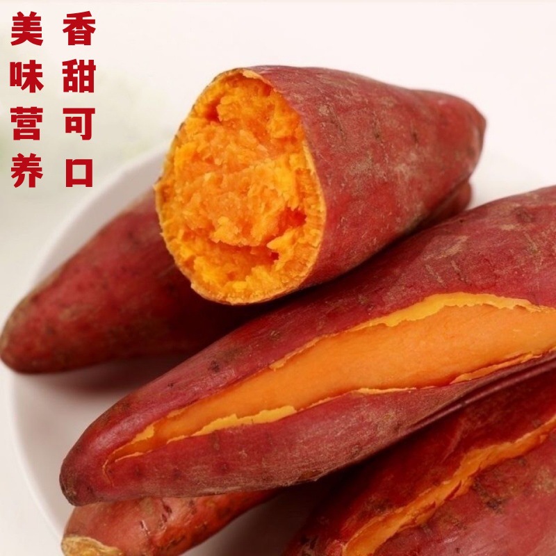 红薯厂家直销批发