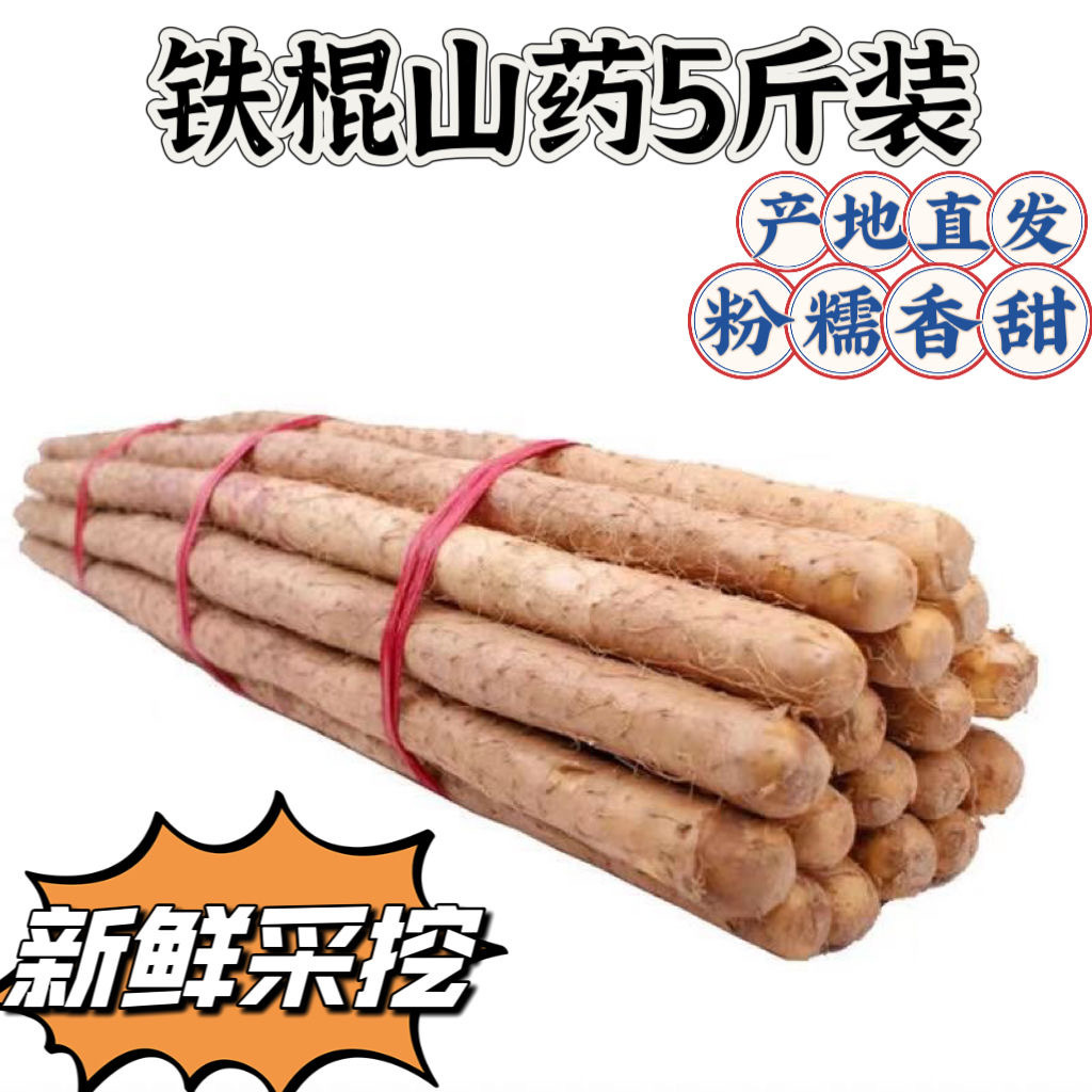 山药厂家直销